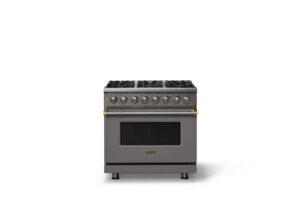 Viking - Pro 5 Series 5.6 Cu. Ft. Freestanding Sealed 6 Burner LP DF Convection Range - Damascus Gray w. Brushed Brass Trim - Damascus Gray